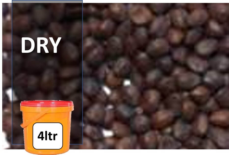 Dry locust bean (iru)