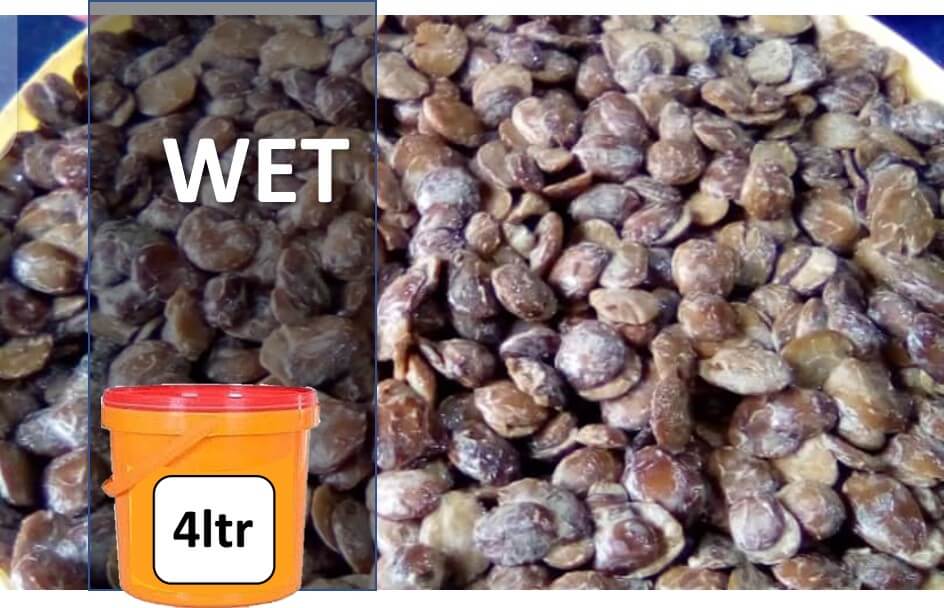 Wet locust bean (iru)