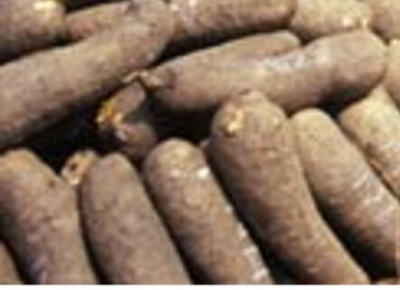 yam (Benue, Abuja) (25kg)