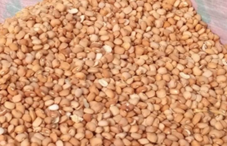 Beans Olo (Olo1) 25kg